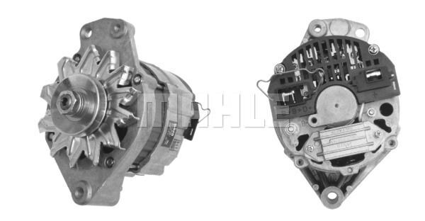 MG 113 Z1660 14V 65A LETRİKA MAHLE ISKRA MG113 72735112 11201348500 BOSCH 0120489203 DELCOREMY DRA3260 068903017JX 036903017EX 068903027M 036903023TX 036 903 017 E