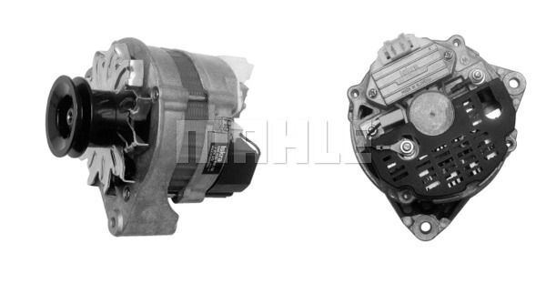 MG 527 Z1660 14V 70A LETRİKA MAHLE ISKRA MG527 72735526 11201370500 BOSCH 0986031830 DELCOREMY DRA1831 77 01 499 450 77 01 348 161 77 02 103 762 77 00 348 548 77 00 348 548