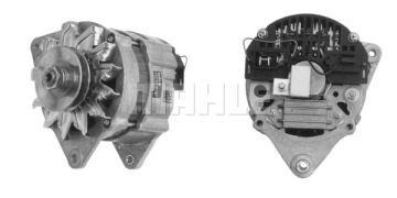 MG 239 Z1660 14V 55A  3838922051452 LETRİKA MAHLE ISKRA MG239 72735238 11201579500 BOSCH 0120488177 DELCOREMY DRA0760 84 FB 10300 KA

84 FB 10300 MB

EGL217

EGL218

82 5F 10300 B2A

6136946 86 AB 10300 AB

R86AB10300AB

5026110

5 021 162