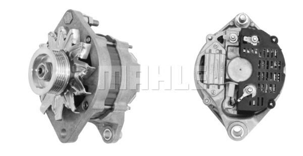 MG 361 Z1660 14V 65A     3838922053487 LETRİKA MAHLE ISKRA MG361 72735360 11201696500 BOSCH 0986037120 DELCOREMY DRA3284 0000007701840

77412410

7750751

0000007552264

7552264

0000007750751 46231756

7701840 46231756