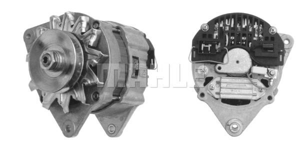 c Z1660 14V 65A   3838922055795 LETRİKA MAHLE ISKRA MG249 72735248 11201745500   V836666738   8366 596 45 8366 596 45