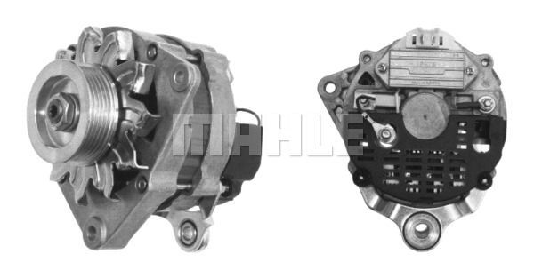 MG 49 Z1660 14V 55A    3838922054194 LETRİKA MAHLE ISKRA MG49 72735048 11201763500 BOSCH 0986034840 DELCOREMY DRA4841 77 01 499 252

77 01 499 461

77 00 734 240

77 00 786 409

77 00 730 273

77 00 810 256 77 00 730 273