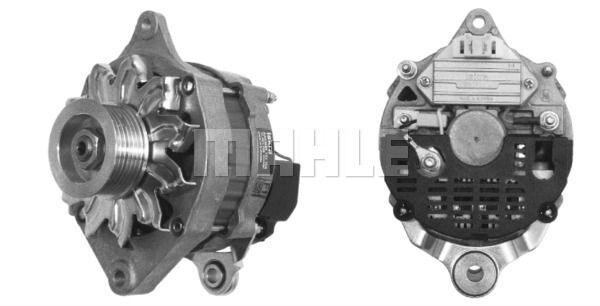 MG 419 Z1660 14V 70A    3838922055245 LETRİKA MAHLE ISKRA MG419 72735418 11201768500 BOSCH 0986038851 DELCOREMY DRA3087 77 00 803 325

77 01 352 045

77 01 352 047 77 00 803 325