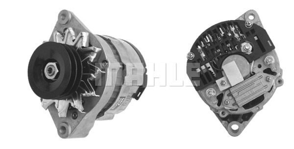MG 46 Z1660 14V 70A LETRİKA MAHLE ISKRA MG46 72735045 11201944500   3838922055184