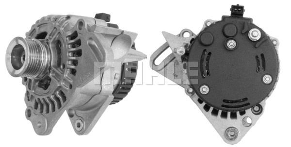 MG 261 Z1660 14V 70A    3838922056662 LETRİKA MAHLE ISKRA MG261 72735260 11201889500 BOSCH 0123310020 DELCOREMY DRA3267 030903023B

030903023BX

30903023DX

030903023D

030903023E

030903023G 30903023E

028403023GX

030903023EX

028903025G