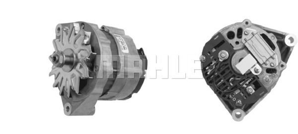 MG 563 Z1660 14V 45A    3838922064407 LETRİKA MAHLE ISKRA MG563 72735562 11203390500   0118 2037

0118 3854

0118 1747

0118 3640 0118 1747