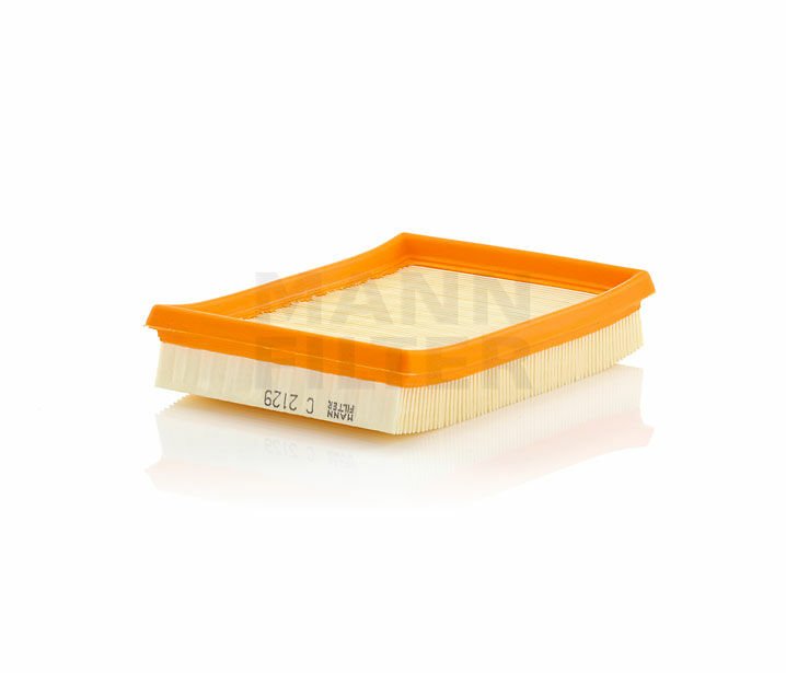 C 2129 HAVA FİLTRESİ  34138 347138-0