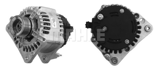 MG 255 Z1660 14V 90A LETRİKA MAHLE ISKRA MG255 72735254 11203080500 BOSCH 0123320034 DELCOREMY DRB0940 3838922061055    037903025C 037 903 025 C