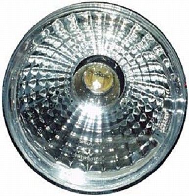 GERİ VİTES LAMBASI  DAF 0906631