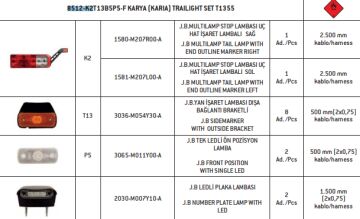 8518-K1T13B5P5-F KARYA (KARIA) T1355 TRAILIGHT SET
