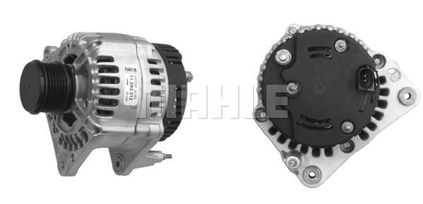 MG 555 Z1660 14V 90A LETRİKA MAHLE ISKRA MG555 72735554 11203312500 BOSCH 0124325131 DELCOREMY DRB1490 3838922063165    038903023R

038903024D

38903023L

038903023L

038903018P

038903024A

38903023R

038903023N

074903026 1 000 711