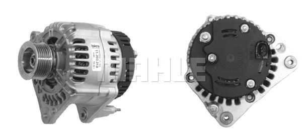 MG 556 Z1660 14V 90A LETRİKA MAHLE ISKRA MG556 72735555 11203313500 BOSCH 0124325003 DELCOREMY DRB1500 3838922063172    028903028D

6A903026A

38903023Q

28903028D

030903023J

06A903023

030903023N

06A903026A

038903023A

038903023Q 02