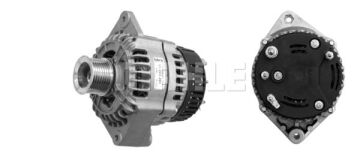 MG 339 Z1660 14V 120A LETRİKA MAHLE ISKRA MG339 72735338 11203281500   3838922070002   77 00 071 558 77 00 071 558