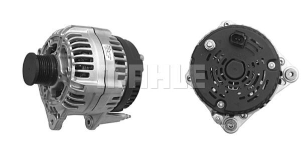 MG 576 Z1660 14V 120A LETRİKA MAHLE ISKRA MG576 72735575 11204156500 BOSCH 0124515010 DELCOREMY DRB1860 3838922063394   028903028E

7M5903028

038903024F

45903023

028903029G

038903023S 28903028E

038903024G

045902023A

38903024G

045