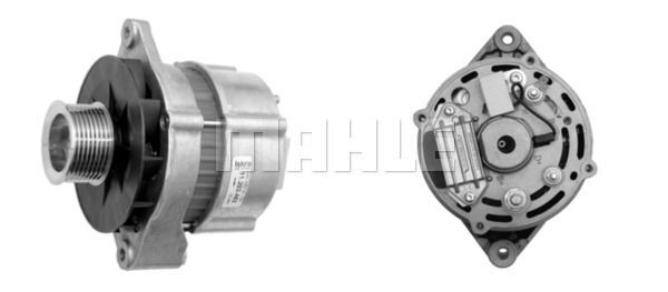 MG 482 Z1660 14V 75A LETRİKA MAHLE ISKRA MG482 72735481 11204395500 BOSCH 9120060040  3838922070743   69X 519 07A

RE505895

69X 519 08A

SE502626

REX51907B

RE533516

RE519629 46550712