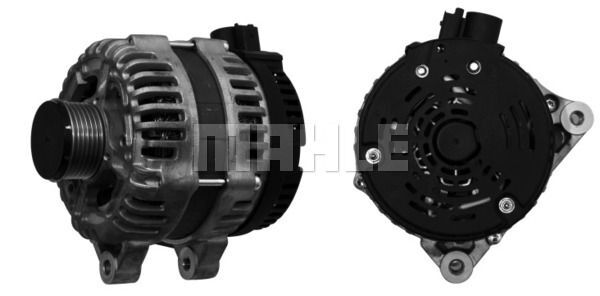 MG 11 Z1660 14V 150A LETRİKA MAHLE ISKRA MG11 72735010 11204164500 BOSCH 0124525035  3838922068801    96 463 218

96 460 654 96 460 654