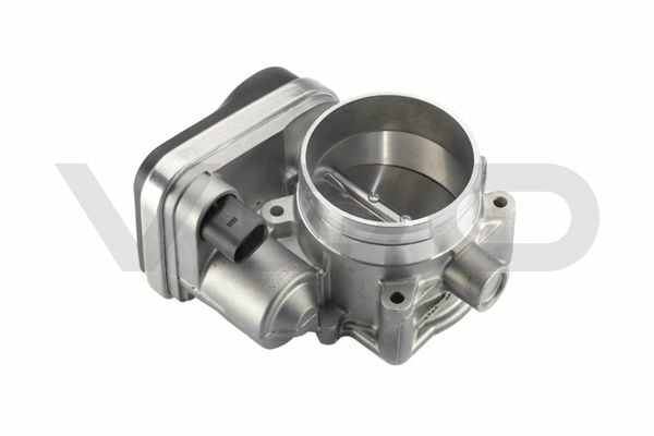 Boğaz Kelebeği 4103590951342  A2C59513835