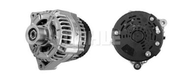 MG 122 Z1660 14V 150A LETRİKA MAHLE ISKRA MG122 72735121 11204587500   3838922071733    V836674243

ACV0204490

8366 74243 ACV0204490