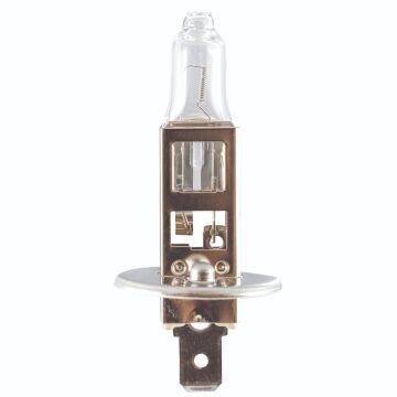34121 H1   P14.5s STANDART IŞIK