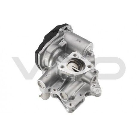 Egzos Ventili A2C59515075