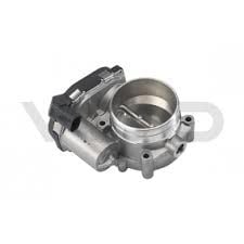 Boğaz Kelebeği A2C59516747