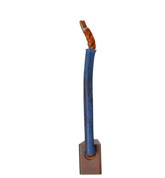 F032902646 Kömür firça
