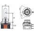 AMPUL  AUDI A3 (8V1,8VK) Q7 (4L) BMW 2 Coupe (F22,F87) CITROEN JUMPER Minibüs/Otobüs FIAT DUCATO FORD B-MAX (JK) FIESTA VI MERCEDES-BENZ A-SERISI(W176) JAGUAR XE (JA_) LAND ROVER DISCOVERY SPORT (LC_) MAZDA