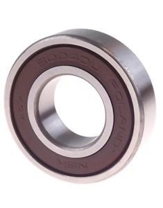 ORS 6004 NSK RULMAN DDU CM