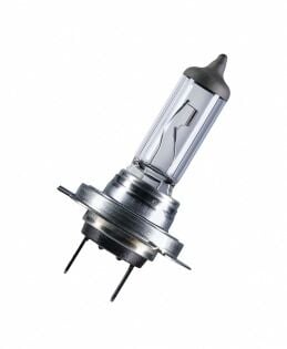 64210 CLC 12V H7 AMPÜL